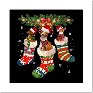 Three Basenji In Sock Christmas Santa Hat X Mas Dog Lover Posters and Art